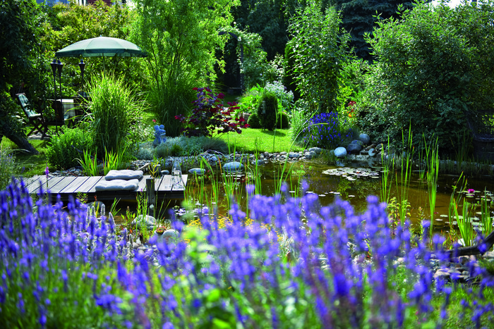 33+ Schaugarten Natur Im Garten, Mit erfrischenden gartengeschichten,
